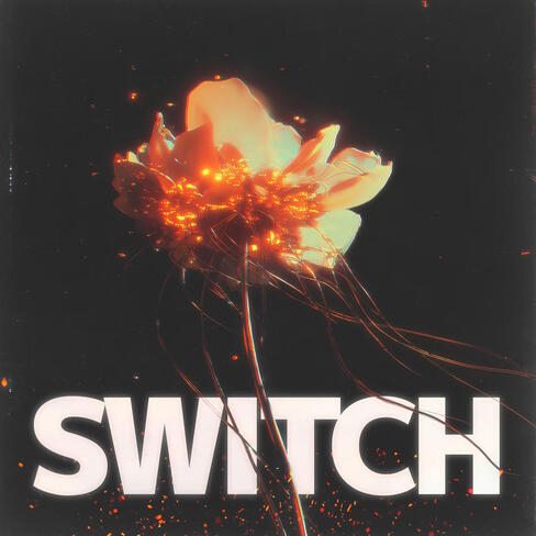 Artwork for NØME single "SWITCH" — electronic music release.