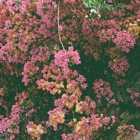 Monoko x Inkko - "Making U"